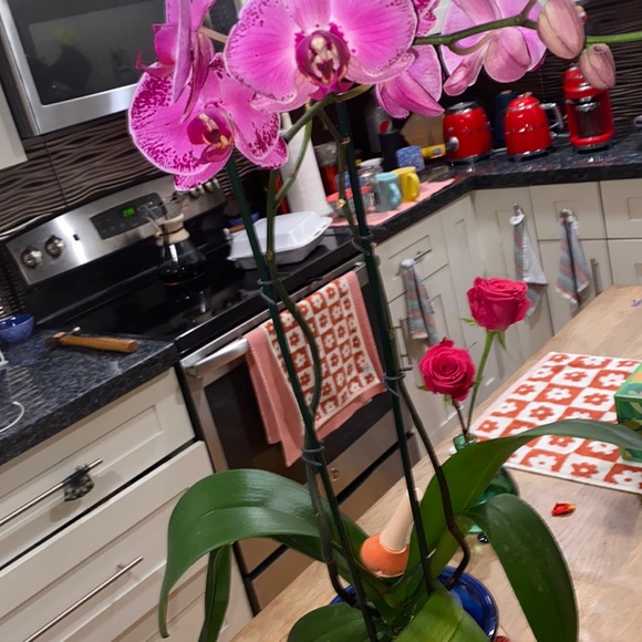 💘🍭BNWOT🍭GUCCI NAIL POLISH💘PEGGY SUNBURN-COLOR🍭💘AUTHENTIC💘🍭 - Picture 5 of 11